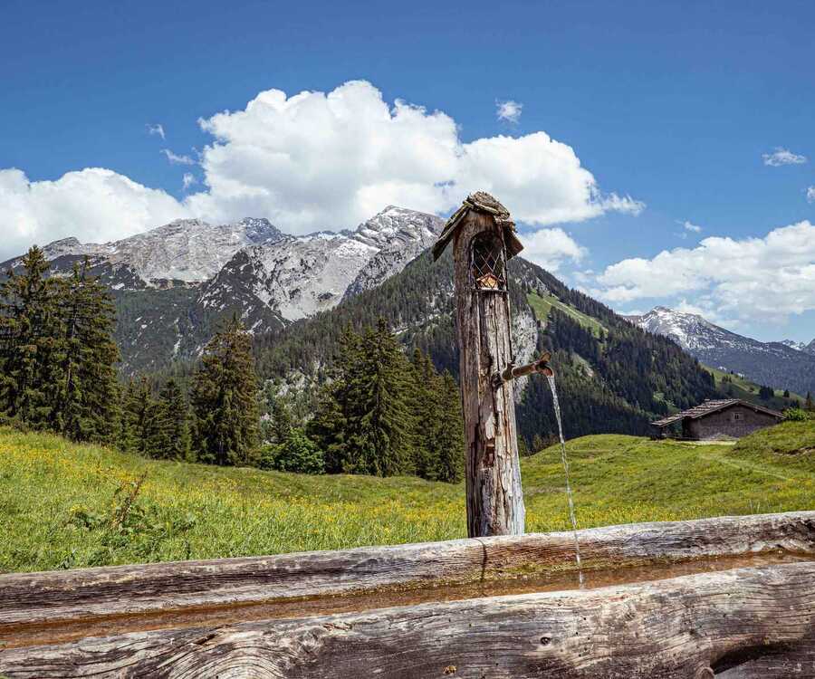 Trail Update European Alps