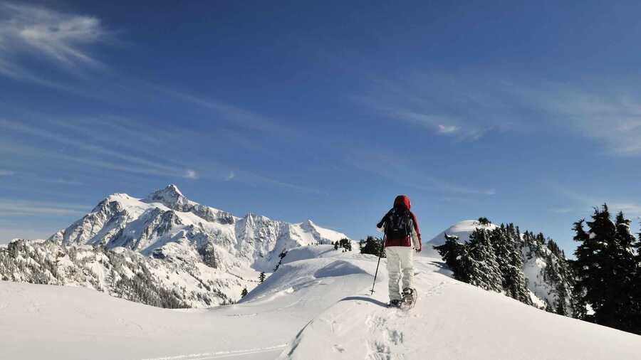 Winter Snowshoe Treks