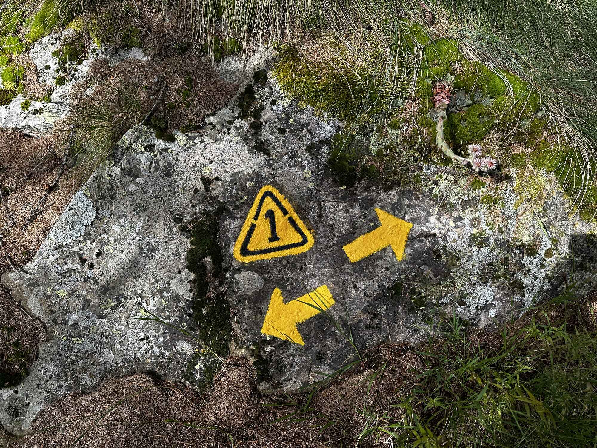 Image of a rock on the trail with markings en-route