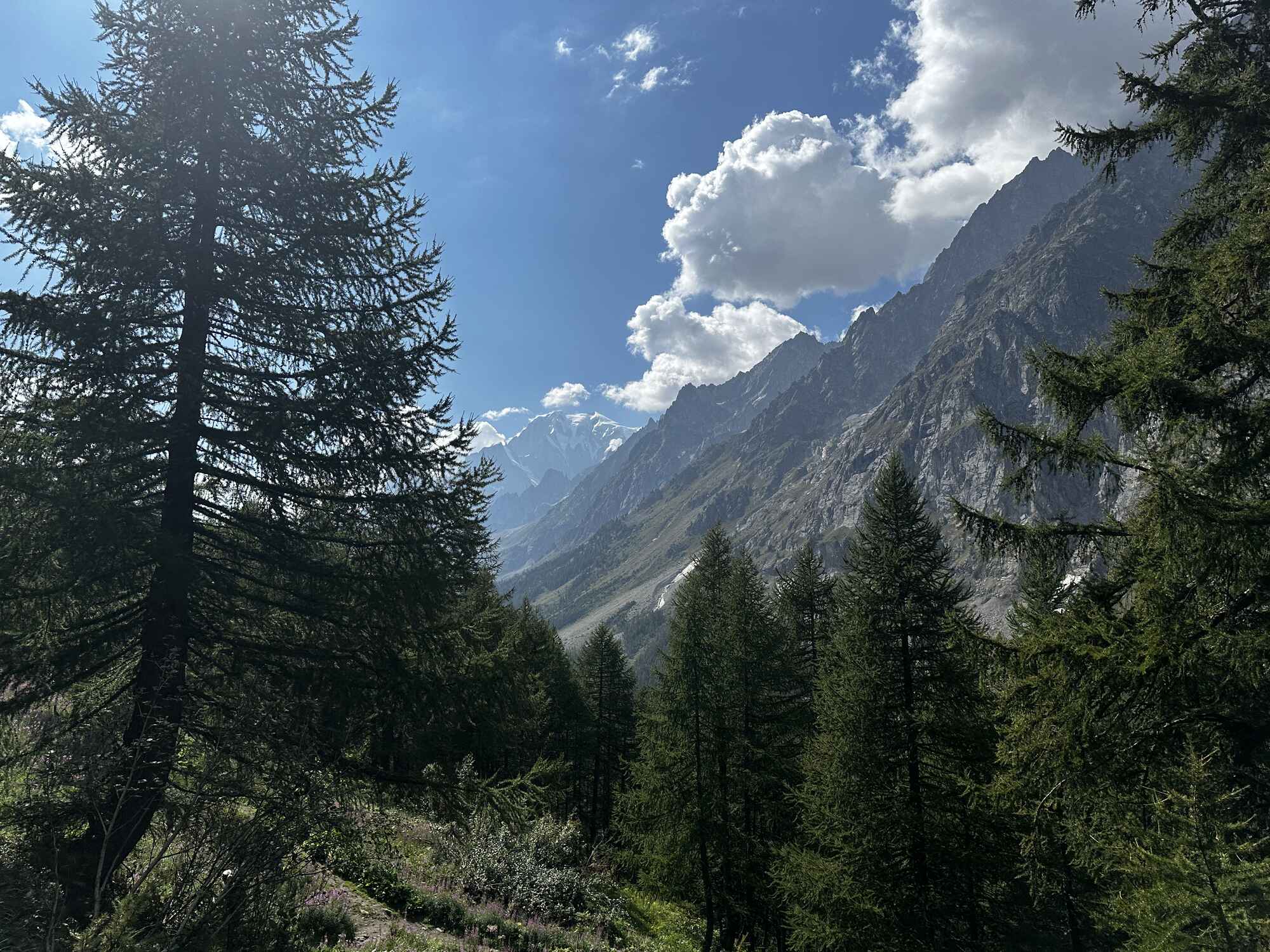 Image of the Val Ferret valley, trees and mountains