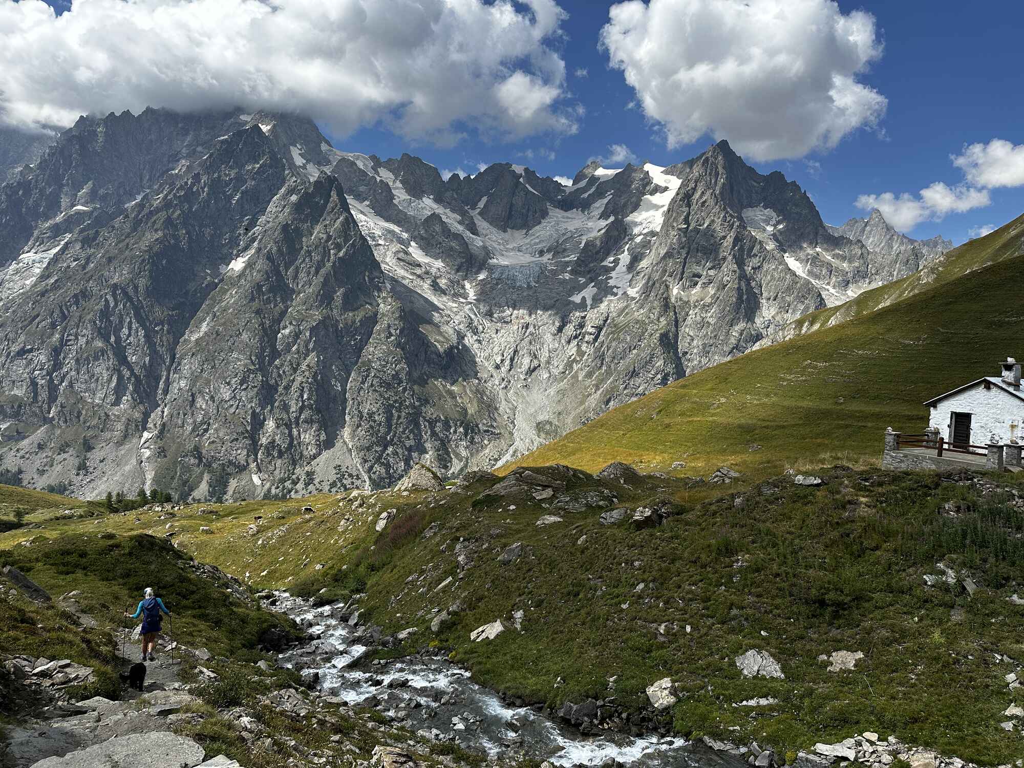 View of the Grand Jorasses mountains