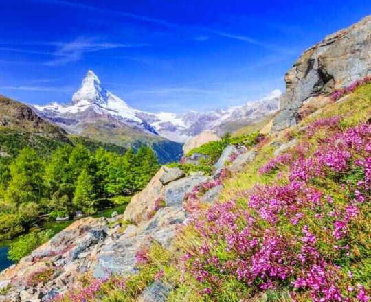 Photo showing a view of the Materhorn along the Walker's Haute Route trail