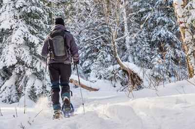 A person snowshoeing in a forest