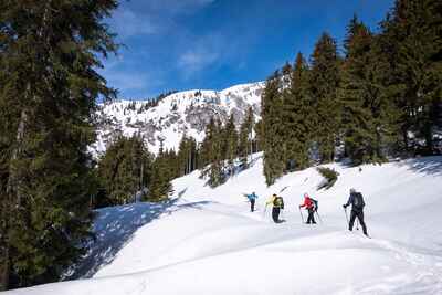 A group snowshoeing in the mountains