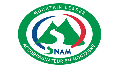 SNAM logo